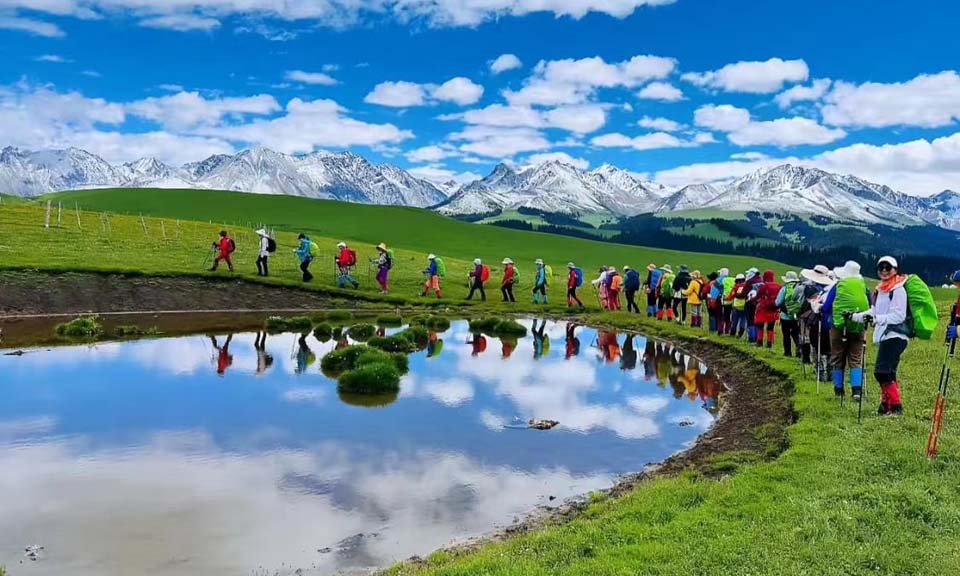 独家揭秘：佛山新规助您畅快落户