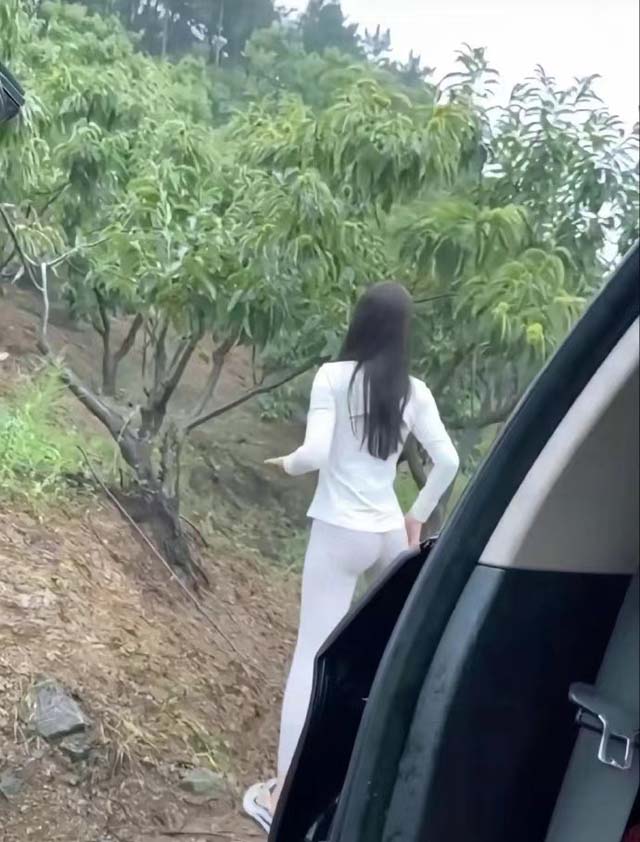广州重拳出击，汽车排放性能整治行动全面启动